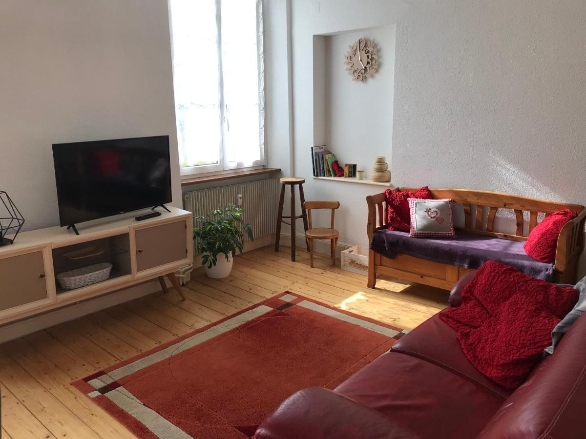 Le Clos Des Iris - Gite Rural 95 M2 Tout Confort En Alsace Bossue Domfessel Exterior photo
